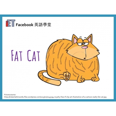 Facebook English_Week 78_05.10.18_Fat Cat (Image)
